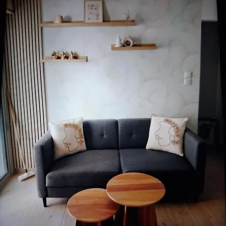 Le Jasmin T2 Renovated Air Conditioning Wifi And Parking בלרוק-לה-באינס