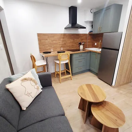 דירה Le Jasmin T2 Renovated Air Conditioning Wifi And Parking בלרוק-לה-באינס
