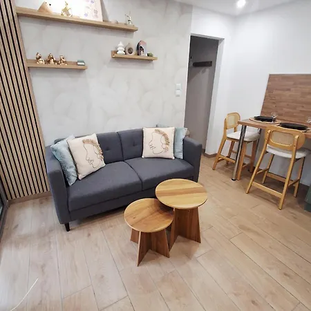 Le Jasmin T2 Renovated Air Conditioning Wifi And Parking * בלרוק-לה-באינס